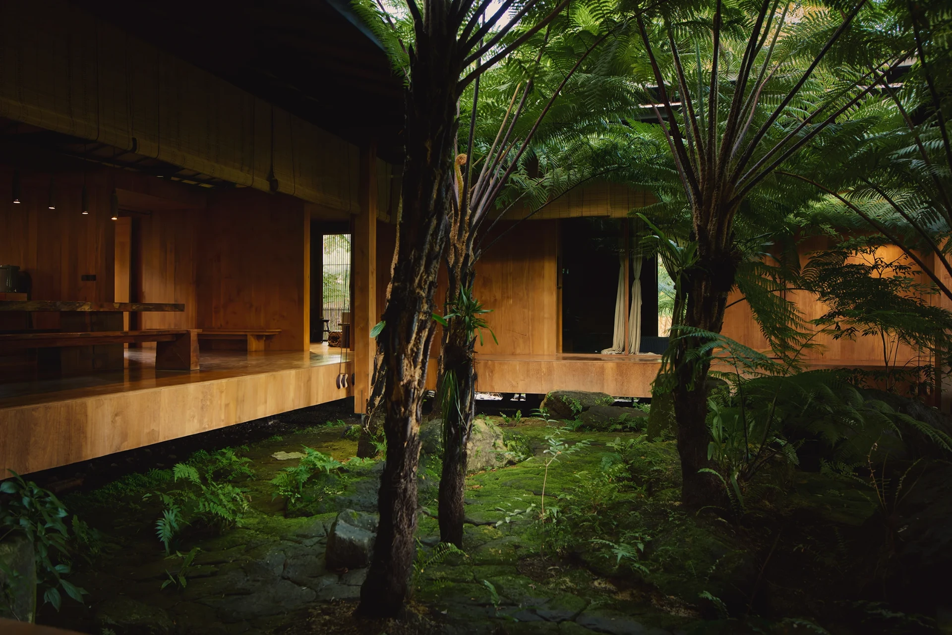 Fern courtyard seen from the timber walkway at Kubu Taru