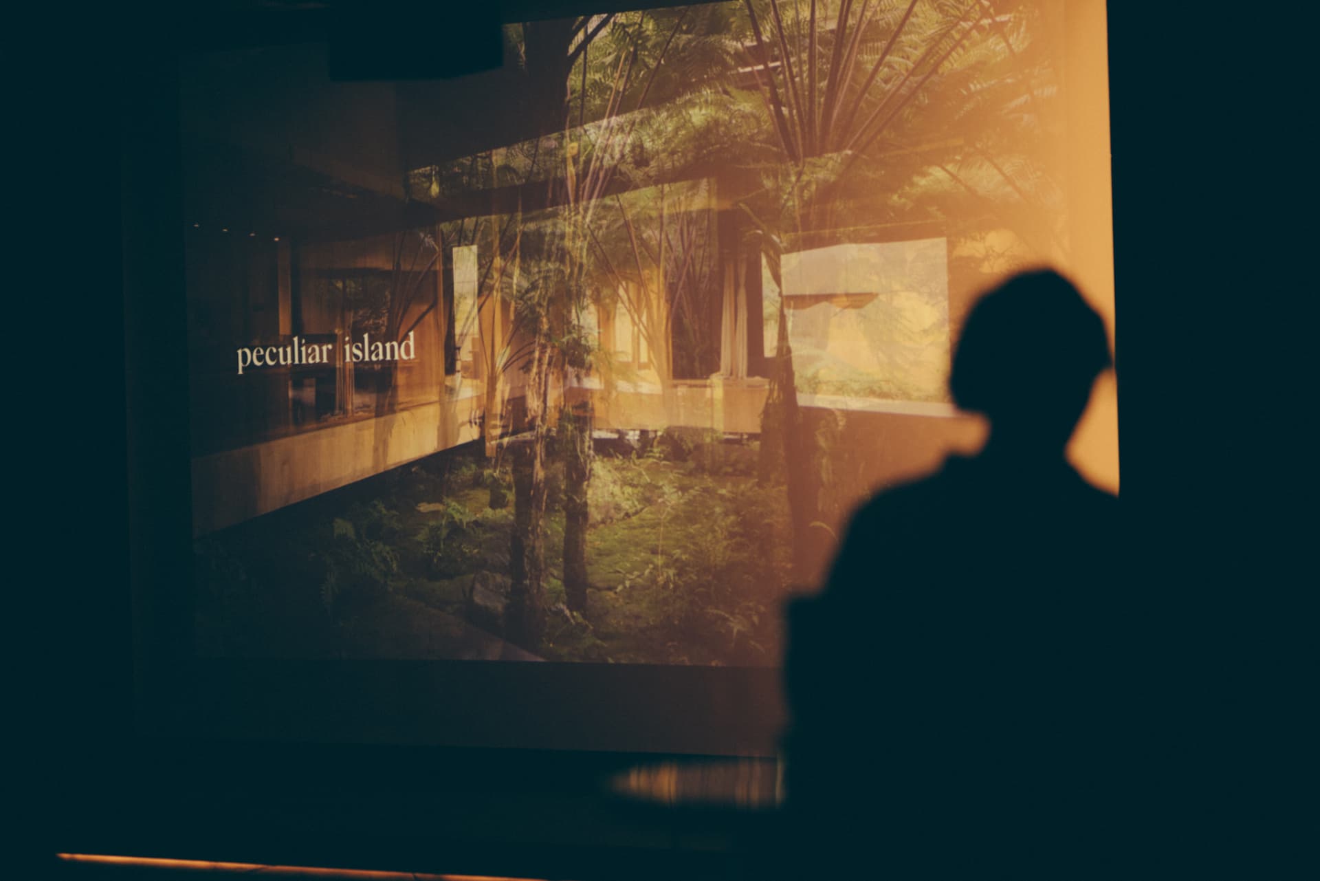 A viewer silhouetted against the Kubu Taru film projected on screen